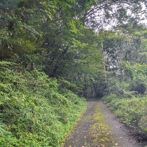 PXL_20250914_065640439