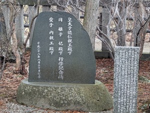 PXL_20240103_040223693