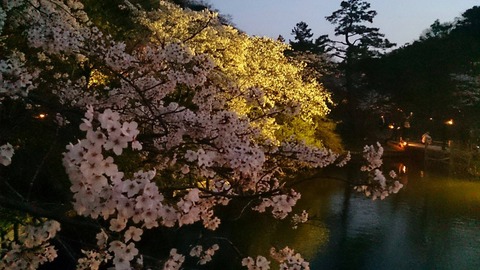 11090891_807825059292737_4925318180088004152_o