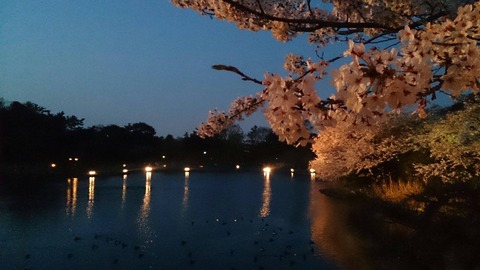 11070247_807825039292739_8759775016396796512_o