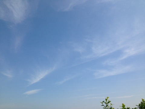秋空