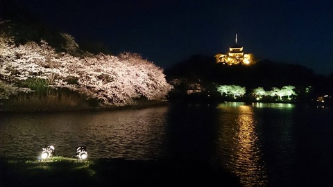 11089079_807825045959405_3079386607868196916_o