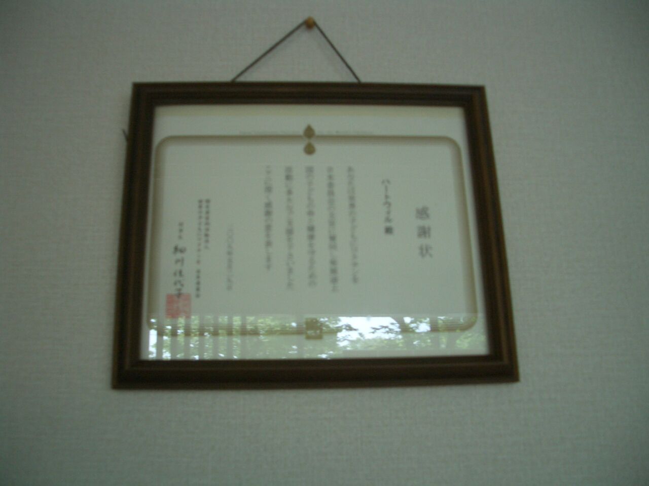 イメージ 1