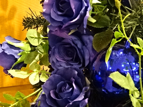 DSC00041