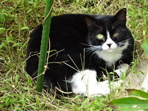 DSC09800