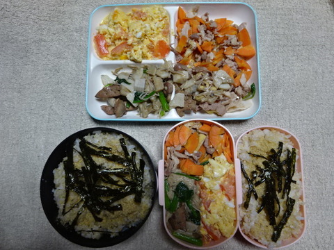 DSC00095