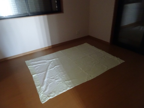 DSC06627