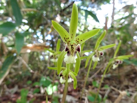 43d47fb6 - コピー