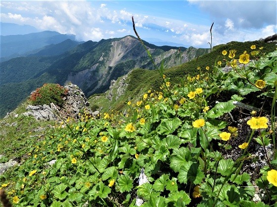 小河内岳 一泊二日 一日目 山だもんね