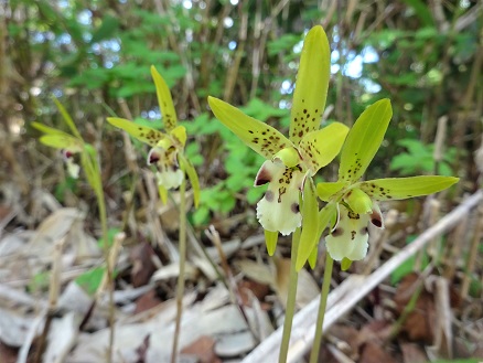 f34041fa - コピー