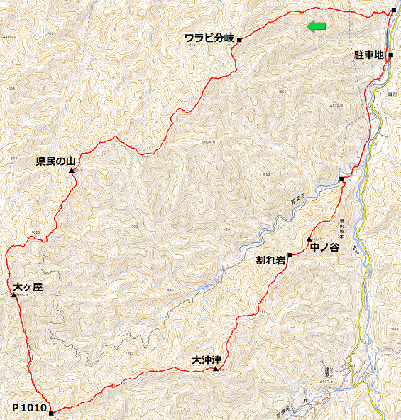 519 県民の山～大ヶ屋2