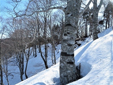 IMG_0089