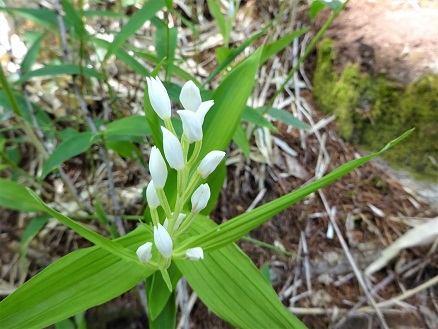 ab3eb64f - コピー