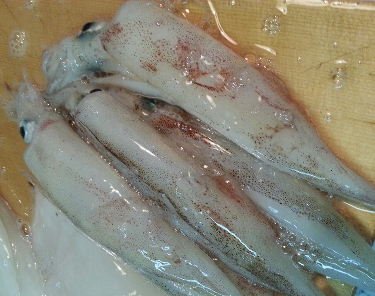 男料理12 と Heavysizeのつぶやき