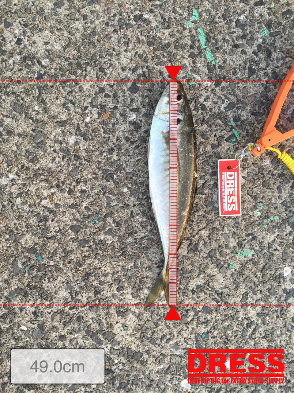 またまた 壱岐アジングです Heboangler路地裏のおっちゃんのblog またまた 壱岐アジングです Heboangler路地裏のおっちゃんのblog