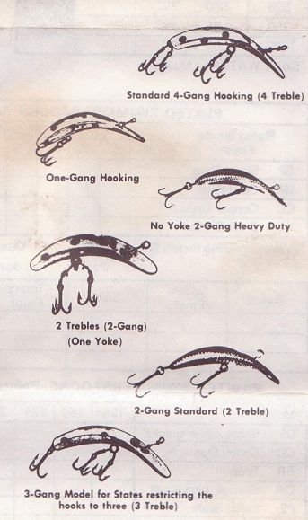 フラットフィッシュの系譜! : リール屋ピカレスク!