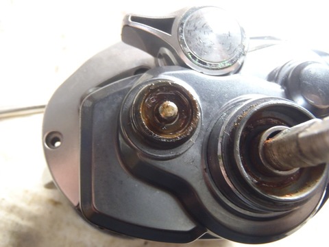 P7173004