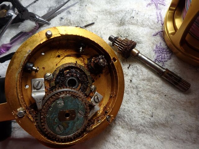 EPEX クムドンヒョン ポラロイドペンインターナショナルⅡ16S