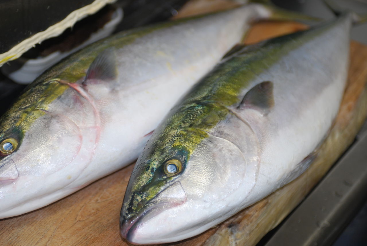 わらさの照り焼き タルタルソース添え ｈｅｉｄｉ ｂｌｏｇ