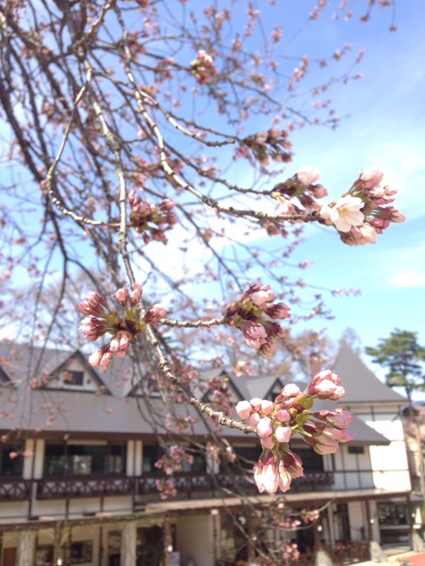 !cid_563C3852-816B-480B-8810-F8A8D32ACE7B