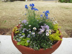 IMG_20140505_113505592