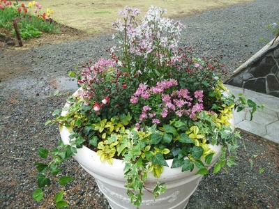 IMG_20140505_113901101~01