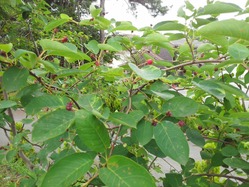 IMG_20140625_135616261