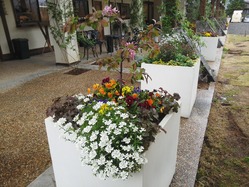 IMG_20140505_11331870