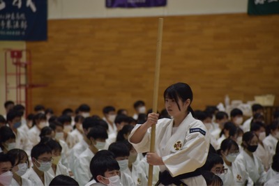 line_617118631300211