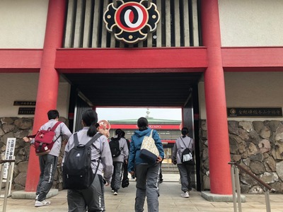 line_513600732223287