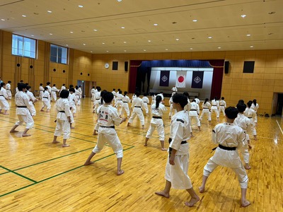 line_20307135185740