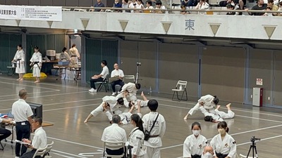line_197664990983605