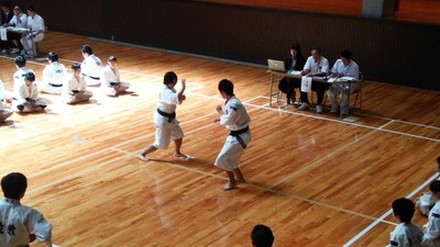 image-19