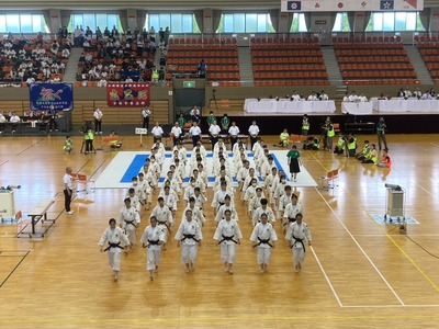 line_48625781201240