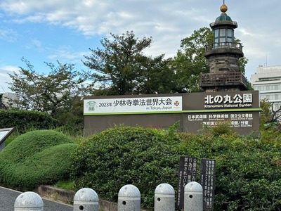 line_27723299830464