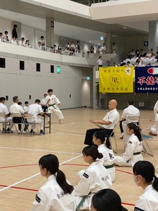 line_127663483850777