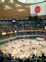 ϣ�����0801