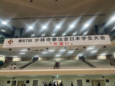 line_33808065173195