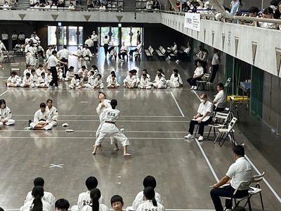 line_197679675891100