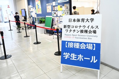 line_666309212148686