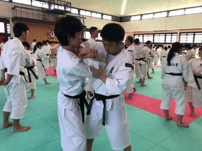 line_513600701850422