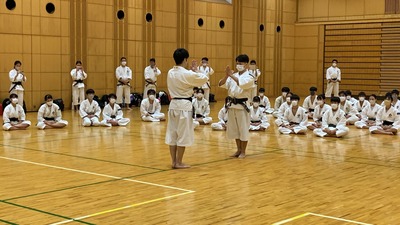 line_608908829087457