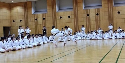 Screenshot_20250923_134332_Gallery