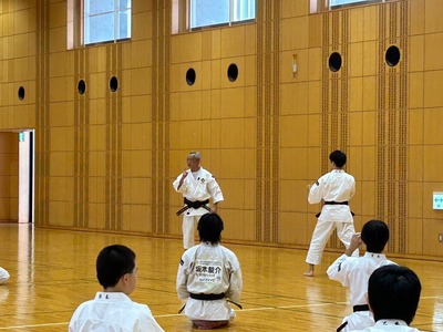 line_20330347495627