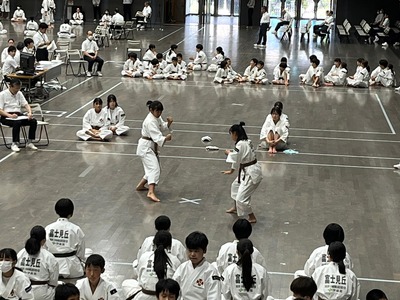 line_197674988898810