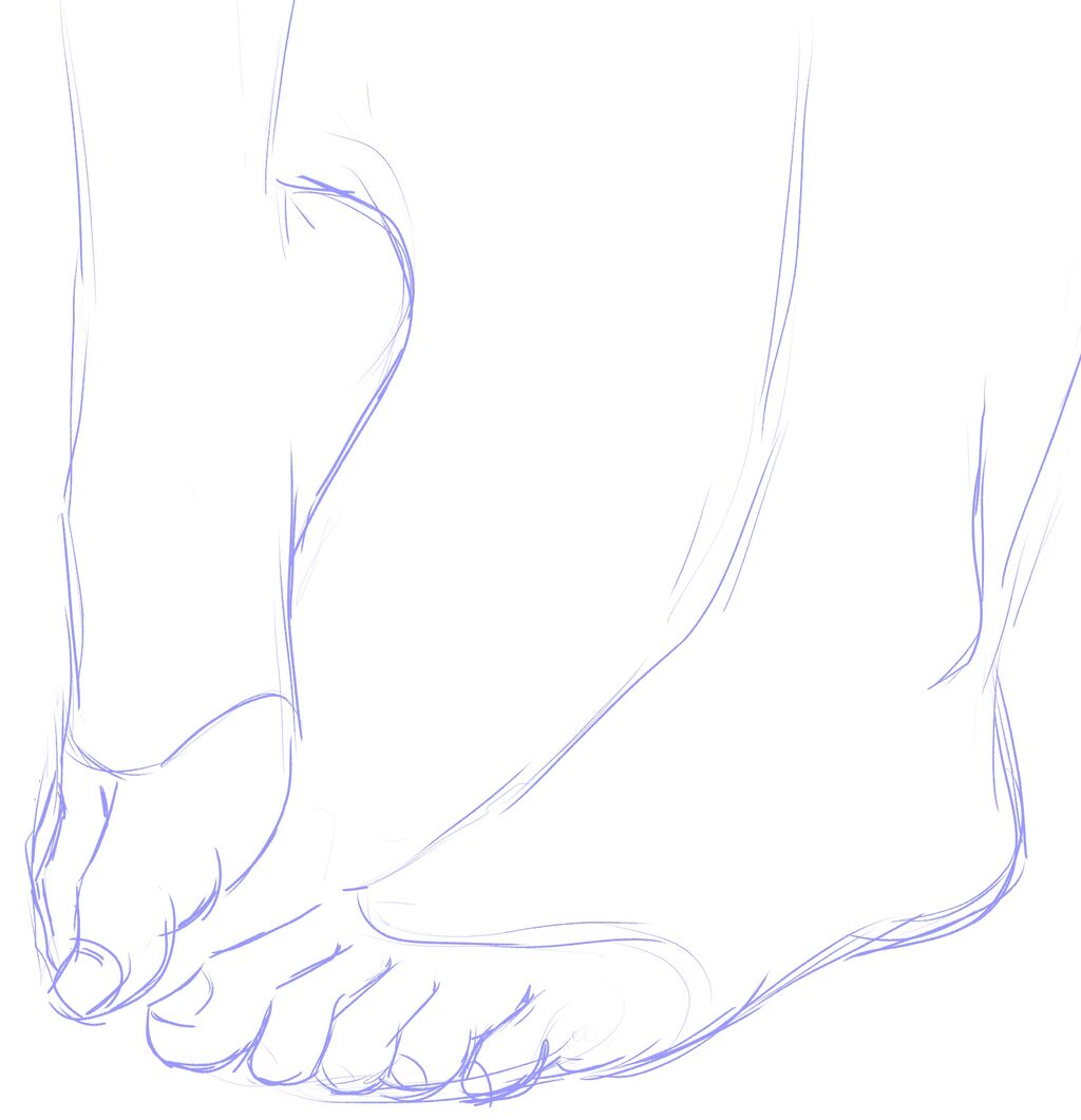 イラスト練習 21 3 8 2 写真模写 つま先 250枚目 ウサコッツ パパのお絵描き修行