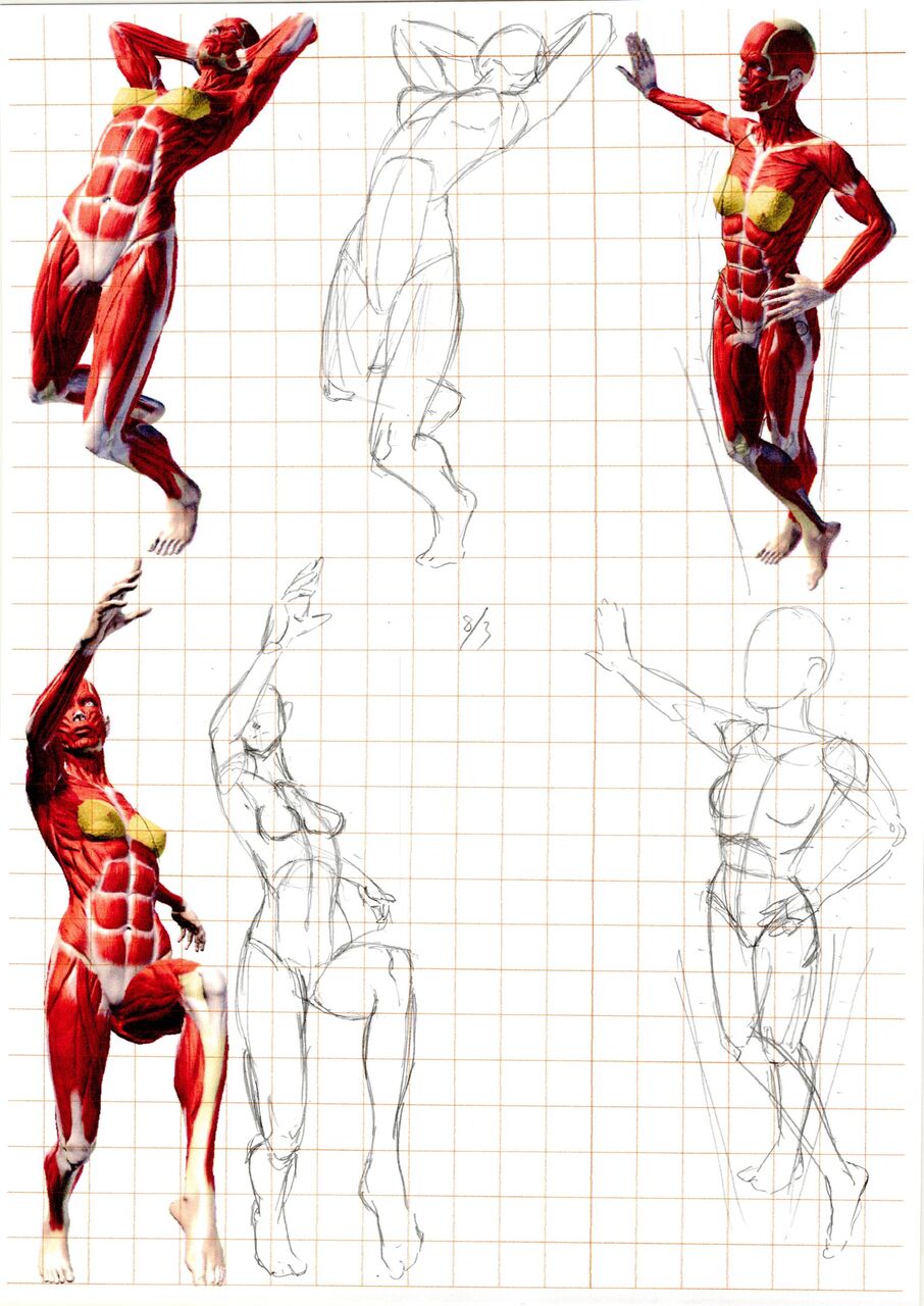 イラスト練習 6か月の軌跡 毎月1日に描いていた絵の比較 ウサコッツ パパのお絵描き修行