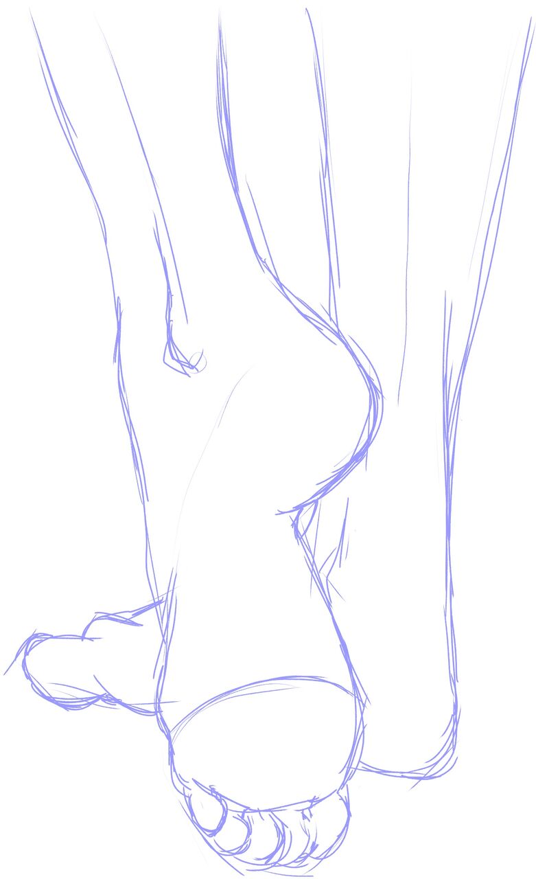 イラスト練習 21 3 10 2 写真模写 つま先 ウサコッツ パパのお絵描き修行