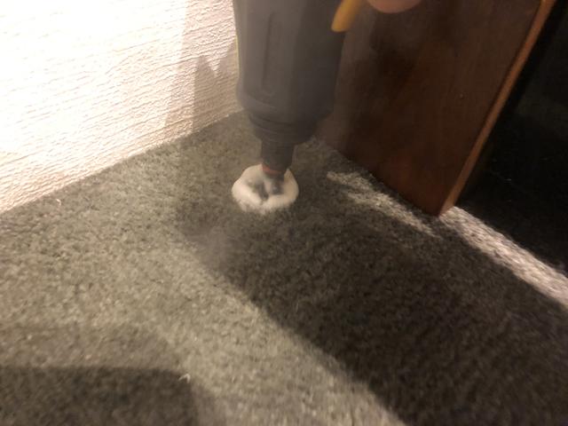 ウサギの尿が染みついたカーペット対策 スチームクリーナー試しました ウサコッツ飼育日記