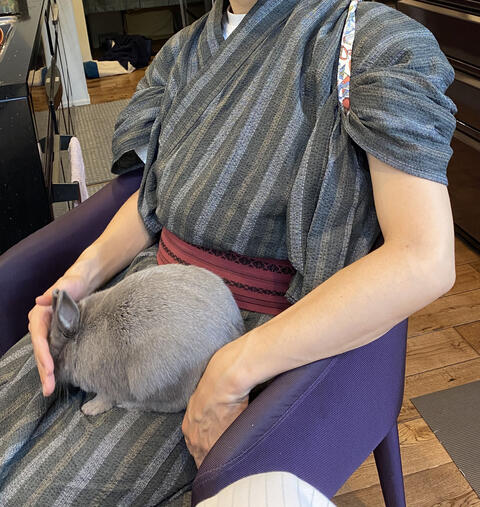 着物をきて膝の上に乗せると安心するウサコッツ ウサコッツ飼育日記 着物をきて膝の上に乗せると安心するウサコッツ ウサコッツ飼育日記